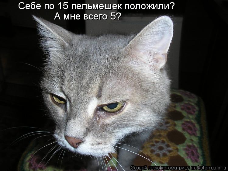 Себе по 15 пельмешек положили? А мне всего 5?... Котоматрица: Себе по 15 пельмешек положили? А мне всего 5?