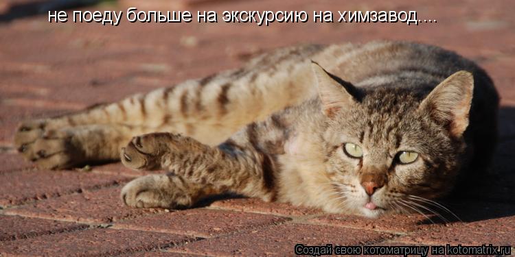 не поеду больше на экскурсию на химзавод....... Котоматрица: не поеду больше на экскурсию на химзавод....