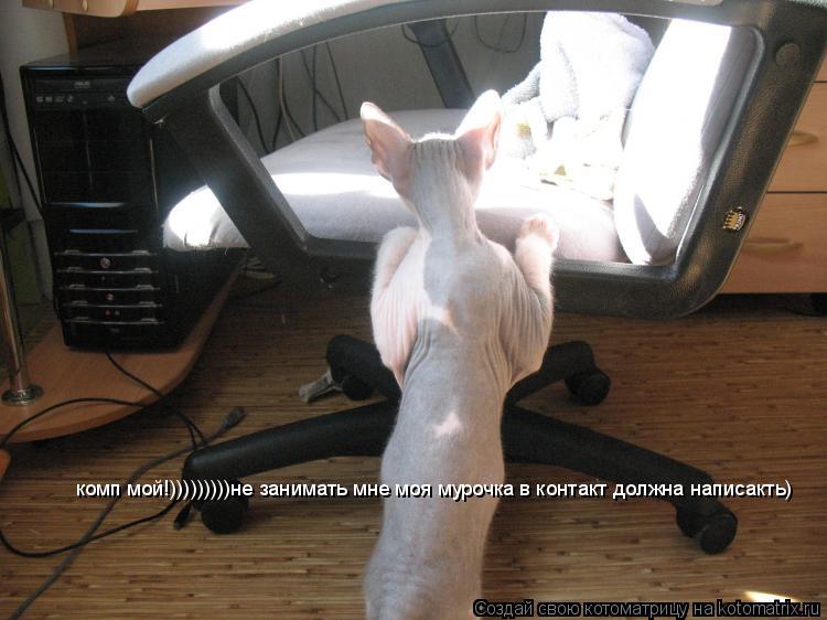 комп мой!)))))))))не занимать мне моя мурочка в контакт должна написакть)... Котоматрица: комп мой!)))))))))не занимать мне моя мурочка в контакт должна написакть)
