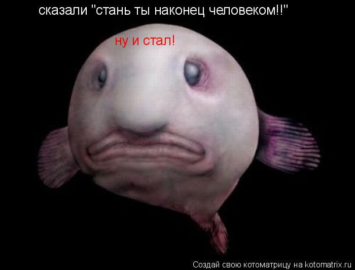 сказали "стань ты наконец человеком!!" ну и стал!... Котоматрица: сказали "стань ты наконец человеком!!" ну и стал!