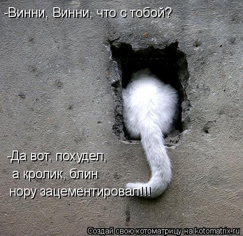 -Винни, Винни, что с тобой? Да вот, похудел, а кролик блин дыру зацементировал!!! -Да вот, похудел, а... Котоматрица: -Винни, Винни, что с тобой? Да вот, похудел, а кролик блин дыру зацементировал!!! -Да вот, похудел, а кролик, блин нору зацементировал!!!