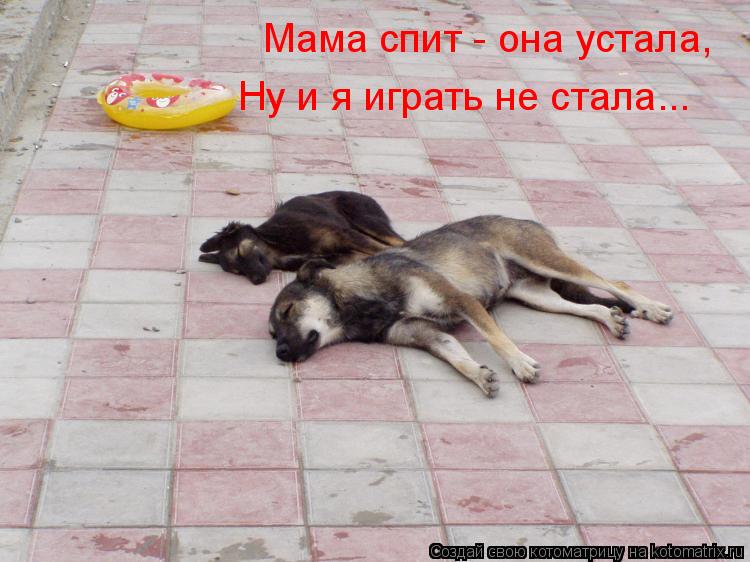 Котоматрица: Мама спит - она устала, Ну и я играть не стала...