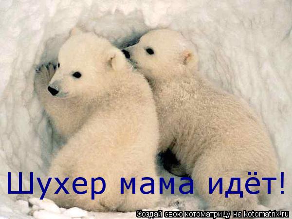 Шухер мама идёт!... Котоматрица: Шухер мама идёт!