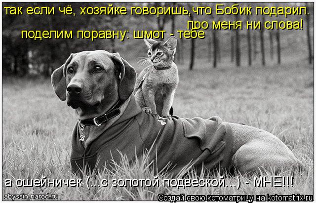 так если чё, хозяйке говоришь,что Бобик подарил. про меня ни слова! поделим поравну: шмот - тебе а ош... Котоматрица: так если чё, хозяйке говоришь,что Бобик подарил. про меня ни слова! поделим поравну: шмот - тебе а ошейничек (...с золотой подвеской...) - МНЕ!!!