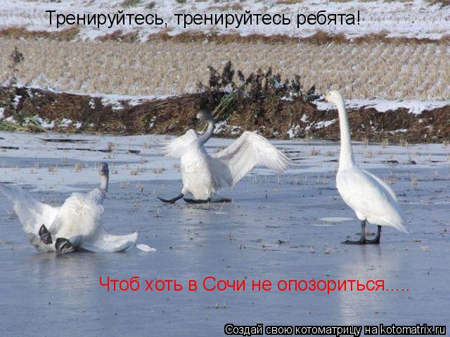 Тренируйтесь, тренируйтесь ребята! Чтоб хоть в Сочи не опозориться........ Котоматрица: Тренируйтесь, тренируйтесь ребята! Чтоб хоть в Сочи не опозориться.....