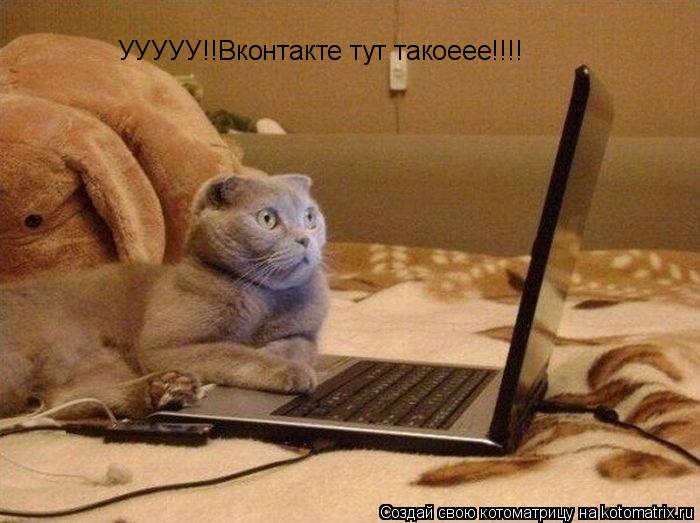 УУУУУ!!Вконтакте тут такоеее!!!!... Котоматрица: УУУУУ!!Вконтакте тут такоеее!!!!