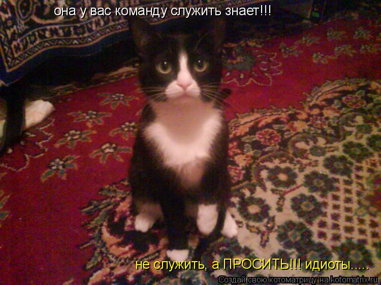она у вас команду служить знает!!! не служить, а ПРОСИТЬ!!! идиоты........ Котоматрица: она у вас команду служить знает!!! не служить, а ПРОСИТЬ!!! идиоты.....