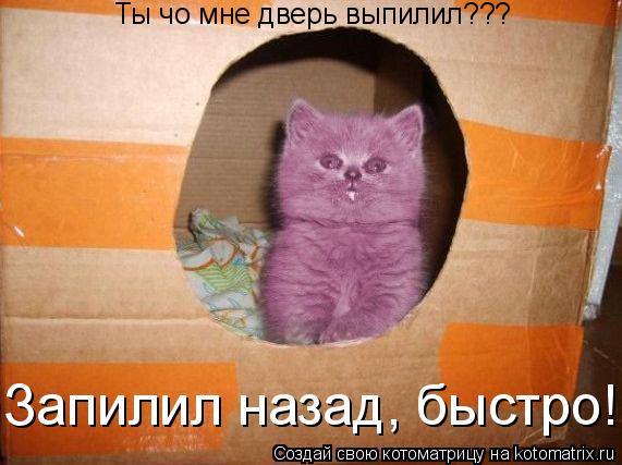 Запилил назад, быстро! Ты чо мне дверь выпилил???... Котоматрица: Запилил назад, быстро! Ты чо мне дверь выпилил???