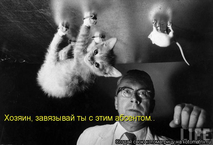 Хозяин, завязывай ты с этим абсентом..... Котоматрица: Хозяин, завязывай ты с этим абсентом..