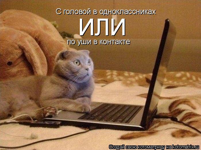 С головой в одноклассниках ИЛИ по уши в контакте... Котоматрица: С головой в одноклассниках ИЛИ по уши в контакте