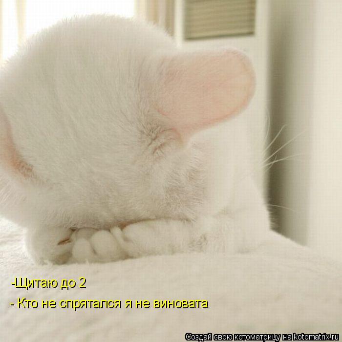 -Щитаю до 2 - Кто не спрятался я не виновата... Котоматрица: -Щитаю до 2 - Кто не спрятался я не виновата