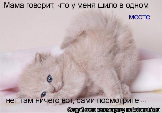 Мама говорит, что у меня шило в одном месте нет там ничего вот, сами посмотрите ...... Котоматрица: Мама говорит, что у меня шило в одном месте нет там ничего вот, сами посмотрите ...