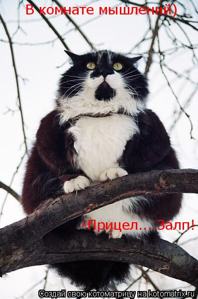 В комнате мышлений) -Прицел... Залп!... Котоматрица: В комнате мышлений) -Прицел... Залп!