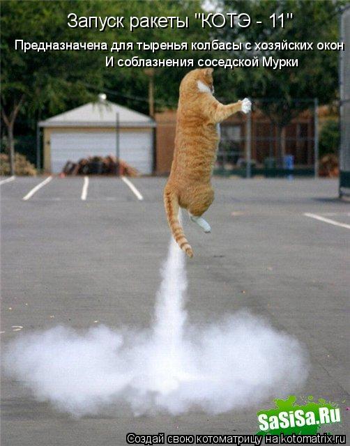 Запуск ракеты "КОТЭ - 11" Предназначена для тыренья колбасы с хозяйских окон И соблазнения соседской ... Котоматрица: Запуск ракеты "КОТЭ - 11" Предназначена для тыренья колбасы с хозяйских окон И соблазнения соседской Мурки