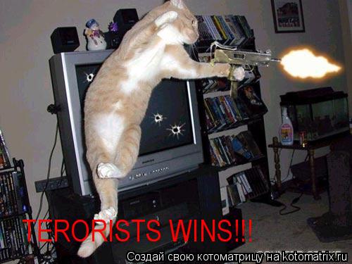 TERORISTS WINS!!! TERORISTS WINS!!!... Котоматрица: TERORISTS WINS!!! TERORISTS WINS!!!