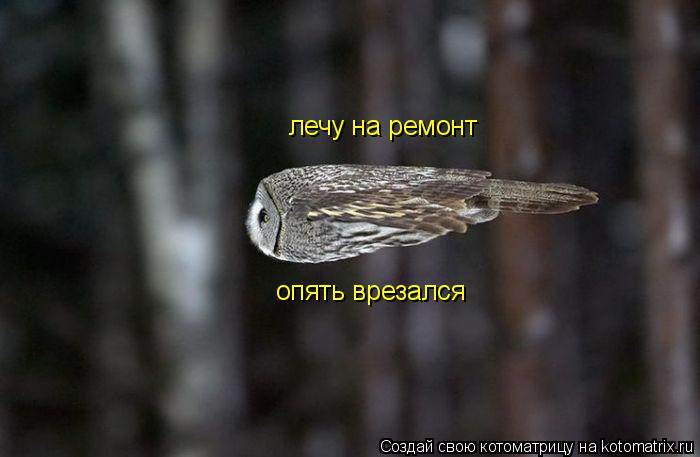 лечу на ремонт опять врезался... Котоматрица: лечу на ремонт опять врезался
