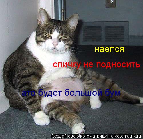 наелся спичку не подносить ато будет большой бум... Котоматрица: наелся спичку не подносить ато будет большой бум