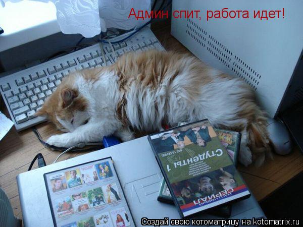 Админ спит, работа идет!... Котоматрица: Админ спит, работа идет!