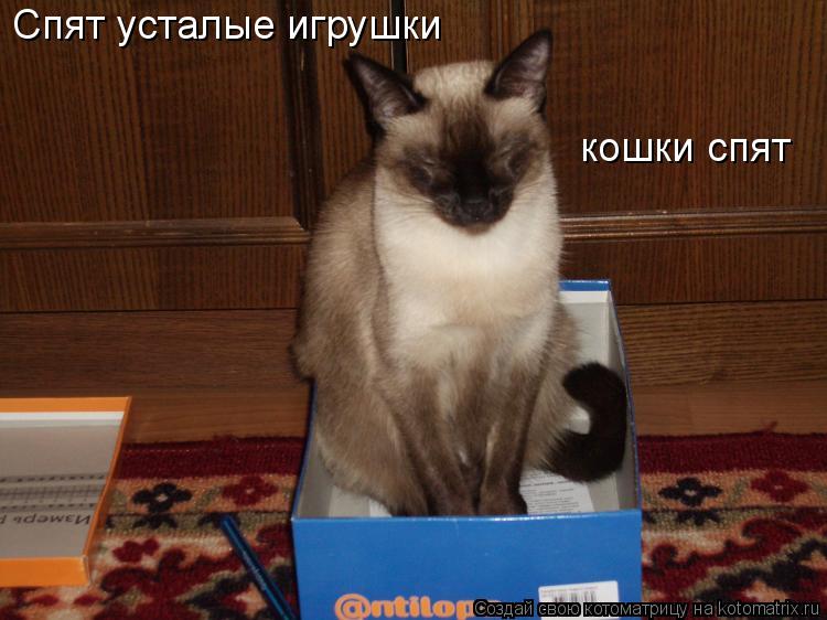 Спят усталые игрушки кошки спят... Котоматрица: Спят усталые игрушки кошки спят