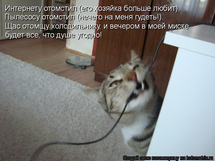 Котоматрица: Щас отомщу холодильнику, и вечером в моей миске  будет все, что душе угодно! Интернету отомстил (его хозяйка больше любит). Пылесосу отомстил