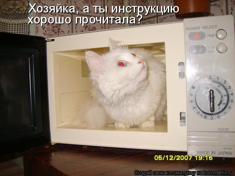 Хозяйка, а ты инструкцию хорошо прочитала?... Котоматрица: Хозяйка, а ты инструкцию хорошо прочитала?