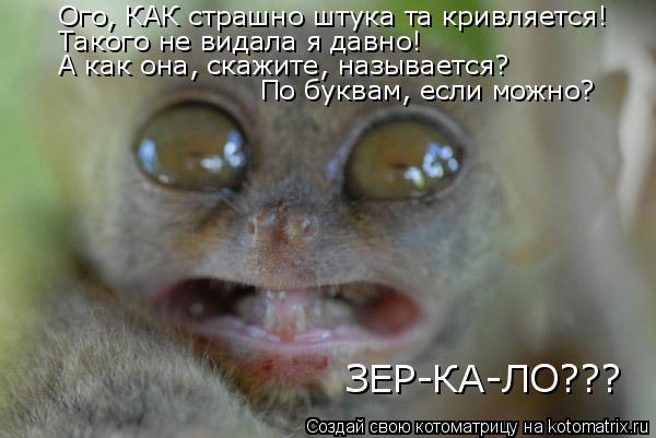 Котоматрица: Ого, КАК страшно штука та кривляется! Такого не видала я давно! А как она, скажите, называется? ЗЕР-КА-ЛО??? По буквам, если можно?