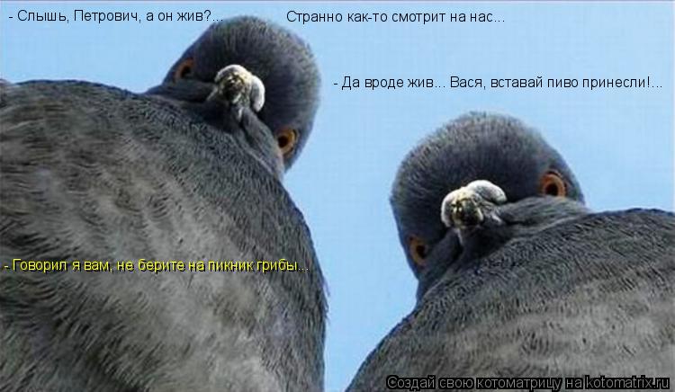 - Слышь, Петрович, а он жив?... - Да вроде жив... Вася, вставай пиво принесли!... Странно как-то смот... Котоматрица: - Слышь, Петрович, а он жив?... - Да вроде жив... Вася, вставай пиво принесли!... Странно как-то смотрит на нас... - Говорил я вам, не берите на пикни