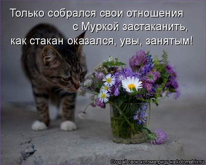 Только собрался свои отношения с Муркой застаканить, как стакан оказался, увы, занятым!... Котоматрица: Только собрался свои отношения с Муркой застаканить, как стакан оказался, увы, занятым!