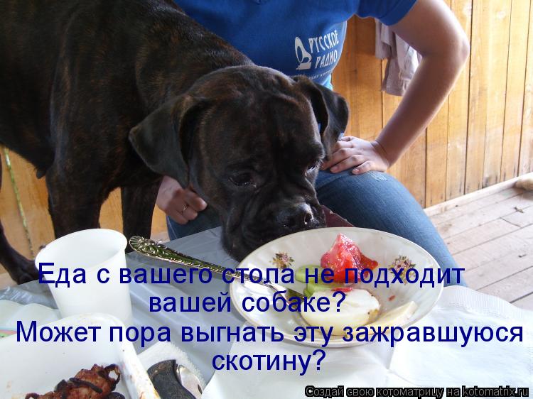 Еда с вашего стола не подходит вашей собаке? Может пора выгнать эту зажравшуюся скотину?... Котоматрица: Еда с вашего стола не подходит вашей собаке? Может пора выгнать эту зажравшуюся скотину?