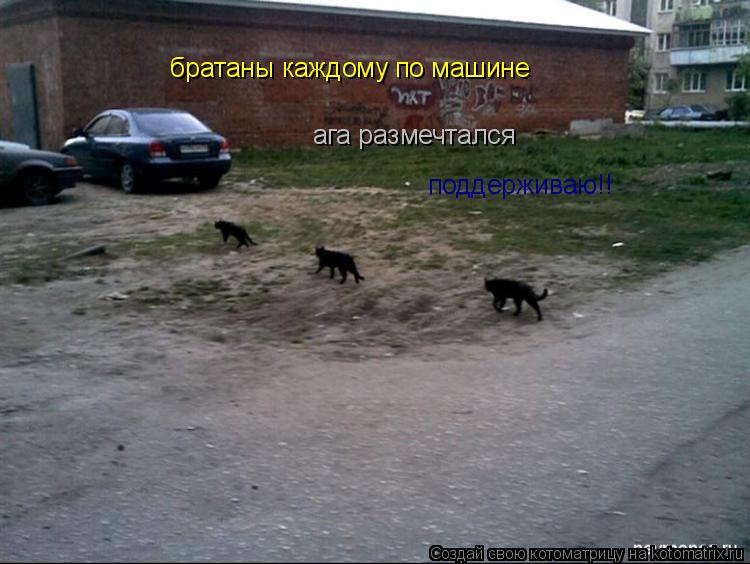 братаны каждому по машине ага размечтался поддерживаю!!... Котоматрица: братаны каждому по машине ага размечтался поддерживаю!!