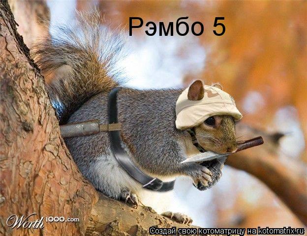 Рэмбо 5... Котоматрица: Рэмбо 5