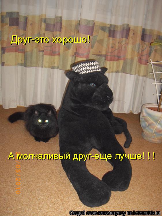 Друг-это хорошо! А молчаливый друг-еще лучше! ! !... Котоматрица: Друг-это хорошо! А молчаливый друг-еще лучше! ! !