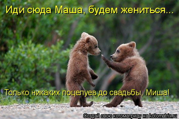 Иди сюда Маша, будем жениться... Только никаких поцелуев до свадьбы, Миша!... Котоматрица: Иди сюда Маша, будем жениться... Только никаких поцелуев до свадьбы, Миша!