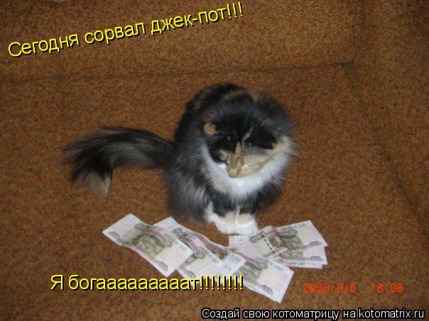 Сегодня сорвал джек-пот!!! Я богааааааааат!!!!!!!!... Котоматрица: Сегодня сорвал джек-пот!!! Я богааааааааат!!!!!!!!