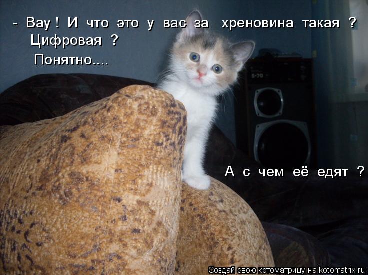 - Вау ! И что это у вас за хреновина такая ? А с чем её едят ? Цифровая ? По... Котоматрица: - Вау ! И что это у вас за хреновина такая ? А с чем её едят ? Цифровая ? Понятно....