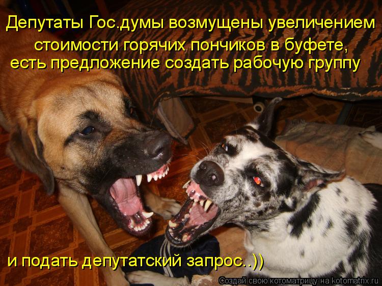 Депутаты Гос.думы возмущены увеличением стоимости горячих пончиков в буфете, есть предложение создать... Котоматрица: Депутаты Гос.думы возмущены увеличением стоимости горячих пончиков в буфете, есть предложение создать рабочую группу и подать депутатски