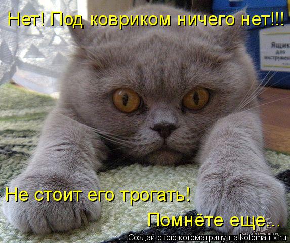 Нет! Под ковриком ничего нет!!! Не стоит его трогать! Помнёте еще...... Котоматрица: Нет! Под ковриком ничего нет!!! Не стоит его трогать! Помнёте еще...