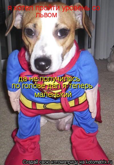 я хотел пройти уровень со львом да не получилось по голове дал я теперь маленький... Котоматрица: я хотел пройти уровень со львом да не получилось по голове дал я теперь маленький
