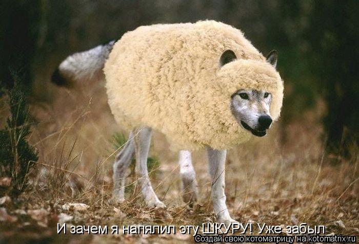 И зачем я напялил эту ШКУРУ! Уже забыл... Котоматрица: И зачем я напялил эту ШКУРУ! Уже забыл