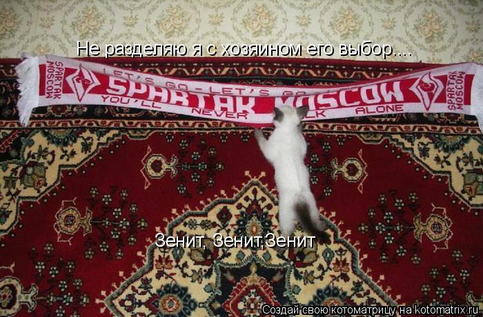 Не разделяю я с хозяином его выбор.... Зенит, Зенит,Зенит... Котоматрица: Не разделяю я с хозяином его выбор.... Зенит, Зенит,Зенит