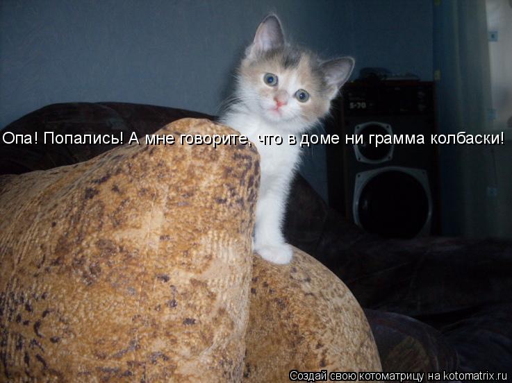 Опа! Попались! А мне говорите, что в доме ни грамма колбаски!... Котоматрица: Опа! Попались! А мне говорите, что в доме ни грамма колбаски!