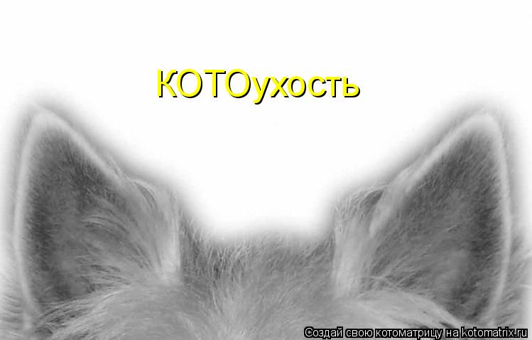 КОТОухость... Котоматрица: КОТОухость