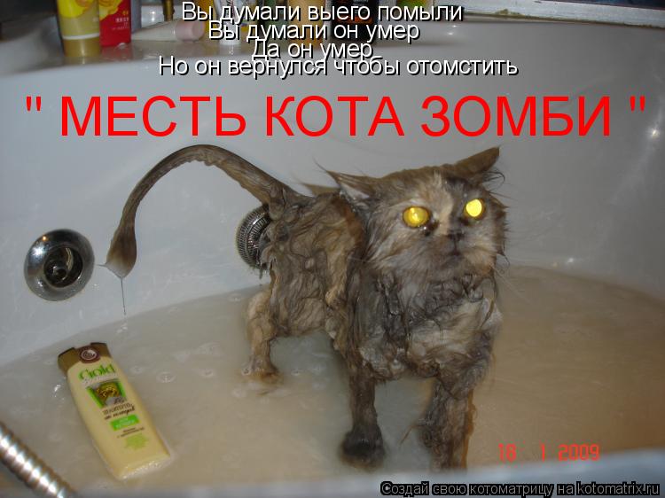 Котоматрица: Вы думали выего помыли Вы думали он умер Да он умер Но он вернулся чтобы отомстить " МЕСТЬ КОТА ЗОМБИ "