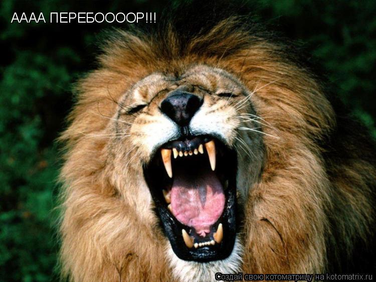АААА ПЕРЕБООООР!!!... Котоматрица: АААА ПЕРЕБООООР!!!