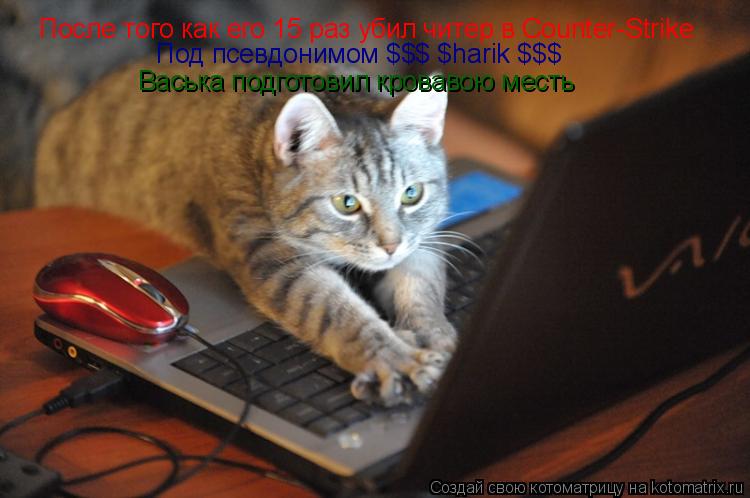 Котоматрица: После того как его 15 раз убил читер в Counter-Strike Под псевдонимом $$$ $harik $$$ Васька подготовил кровавою месть