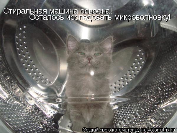 Стиральная машина освоена! Осталось исследовать микроволновку!... Котоматрица: Стиральная машина освоена! Осталось исследовать микроволновку!