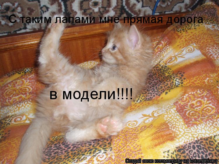 С таким лапами мне прямая дорога в модели!!!!... Котоматрица: С таким лапами мне прямая дорога в модели!!!!