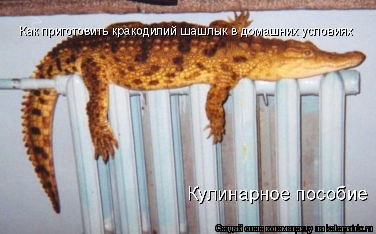 Как приготовить кракодилий шашлык в домашних условиях Кулинарное пособие... Котоматрица: Как приготовить кракодилий шашлык в домашних условиях Кулинарное пособие