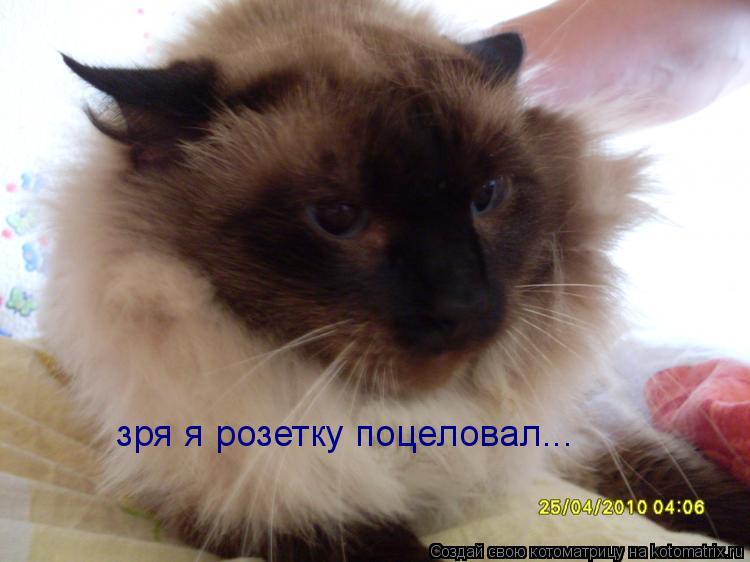 зря я розетку поцеловал...... Котоматрица: зря я розетку поцеловал...