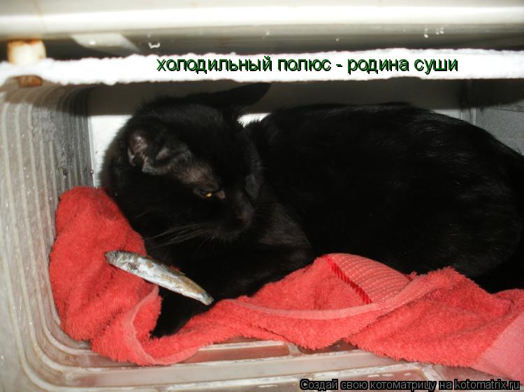холодильный полюс - родина суши... Котоматрица: холодильный полюс - родина суши